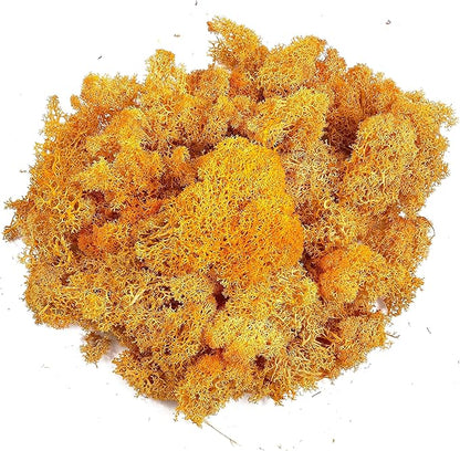 Moss Preserved Moss for Potted Plants Natural Fresh Green Reindeer Moss for Craft Arts Floral Wall Decor Decor Wedding Centerpieces Garden Artificial Terrariums Decoration for Christmas-Orange 3.52OZ