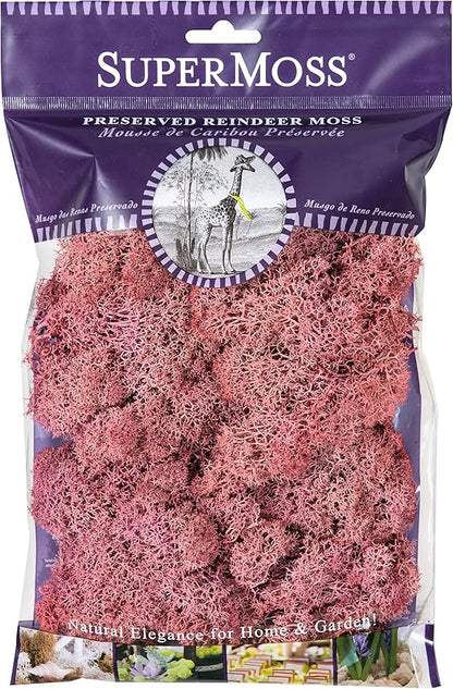 SuperMoss 25126 Reindeer Mosss Preserved, 80.75 Cubic inch (in3) Bag (Appx. 2oz), Dusty Rose