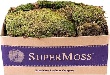 SuperMoss (21537) Mood Moss – Natural Moss for Home Decor, Terrariums, Floral Arrangements, and Craft Projects, 1,564 cu in, Dried