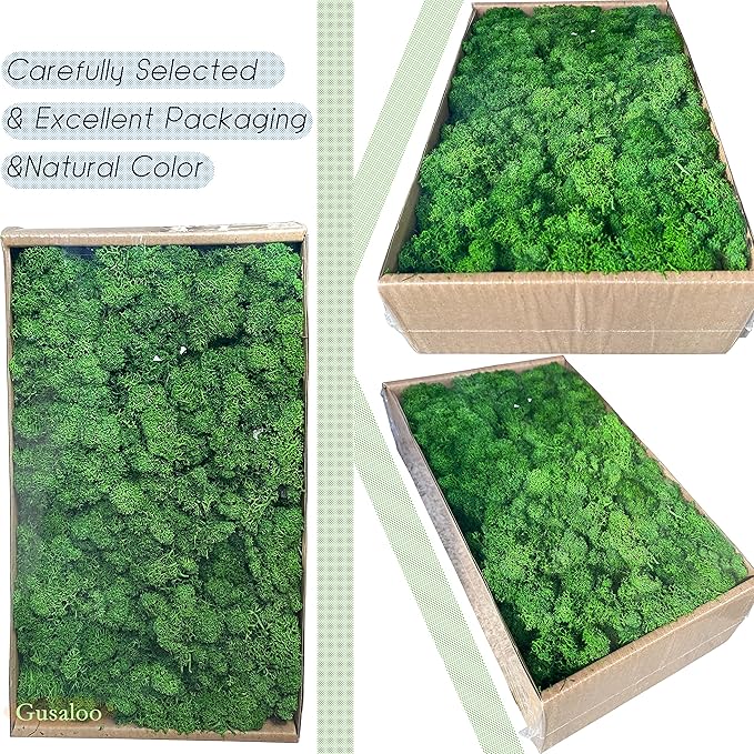 Preserved Moss 1.1 lb Artificial Moss for Potted Plants Natural Fresh Green Moss for Crafts Fake Moss Arts Orchid Moss Wall Decor Wedding Centerpieces Garden Terrariums Christmas Decoration-MidGreen