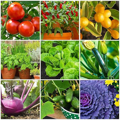 The Old Farmer's Almanac Tomato & Vegetable Plant Food Mini Spikes - NPK 6-4-6 for Continuous Feeding and Bountiful Harvests (24 Mini Spikes)