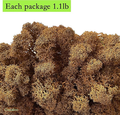 Preserved Moss 1.1lb Artificial Moss for Potted Plants Natural Fresh Green Moss for Crafts Fake Moss Arts Floral Orchid Wall Decor Wedding Centerpieces Garden Terrariums Christmas Decoration -Brown