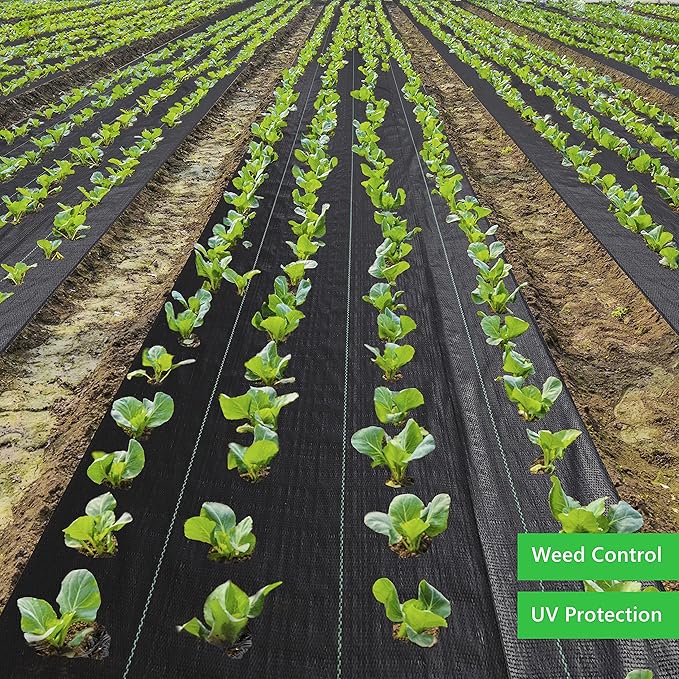 Weed Barrier Fabric 3.2oz Heavy Duty - 3ft x 300ft Landscape Fabric | Easy Install & Rugged Plastic Ground Cover Weed Barrier with UV Protection for Gardens, Landscaping Fabric