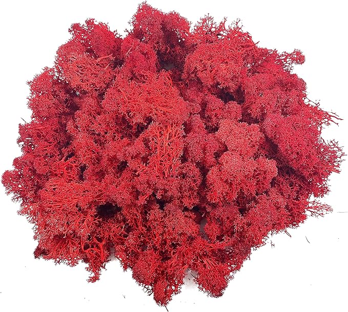 Moss Preserved Moss for Potted Plants Natural Fresh Green Reindeer Moss for Craft Arts Floral Wall Decor Decor Wedding Centerpieces Garden Artificial Terrariums Decoration for Christmas - Red 3.52OZ