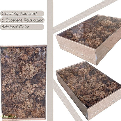 Preserved Moss 1.1lb Artificial Moss for Potted Plants Natural Fresh Green Moss for Crafts Fake Moss Arts Floral Orchid Wall Decor Wedding Centerpieces Garden Terrariums Christmas Decoration -Brown