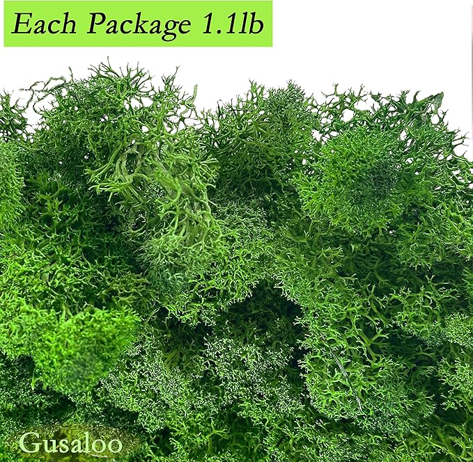 Preserved Moss 1.1 lb Artificial Moss for Potted Plants Natural Fresh Green Moss for Crafts Fake Moss Arts Orchid Moss Wall Decor Wedding Centerpieces Garden Terrariums Christmas Decoration-MidGreen