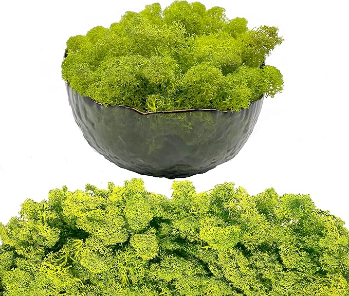 Moss Preserved Artificial Moss 8.8oz Natural Fresh Green Moss for Craft Arts Floral Project Wall Decor Table Decor Wedding Centerpieces Garden Terrariums Decoration Chartreuse