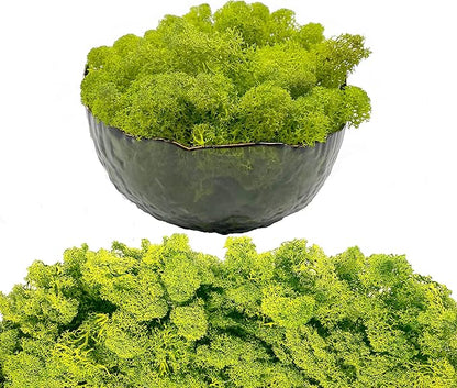 Moss Preserved Artificial Moss 8.8oz Natural Fresh Green Moss for Craft Arts Floral Project Wall Decor Table Decor Wedding Centerpieces Garden Terrariums Decoration Chartreuse