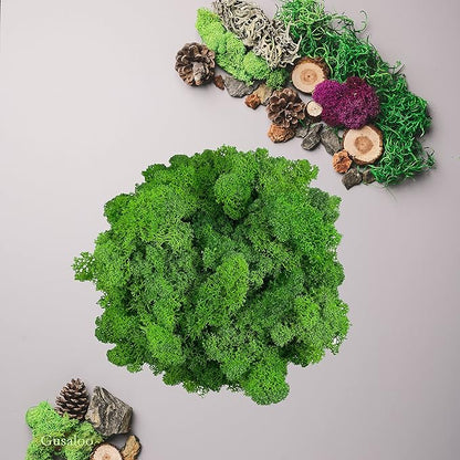 Preserved Moss 1.1 lb Artificial Moss for Potted Plants Natural Fresh Green Moss for Crafts Fake Moss Arts Orchid Moss Wall Decor Wedding Centerpieces Garden Terrariums Christmas Decoration-MidGreen